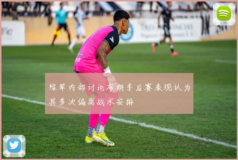 绿军内部讨论布朗季后赛表现认为其多次偏离战术安排